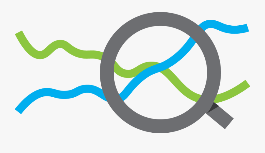 Circle, Transparent Clipart