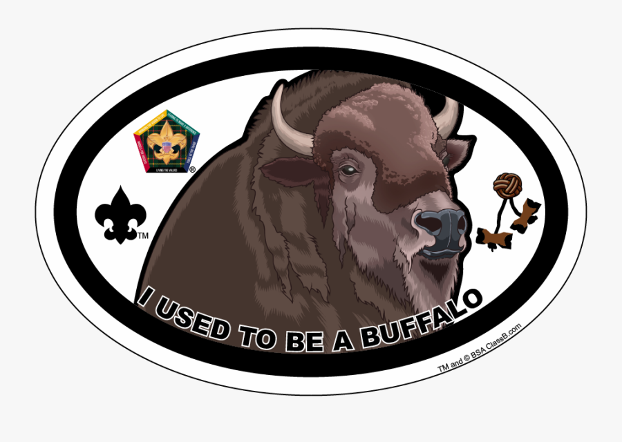 Wood Badge Eagle Car Magnet, Transparent Clipart