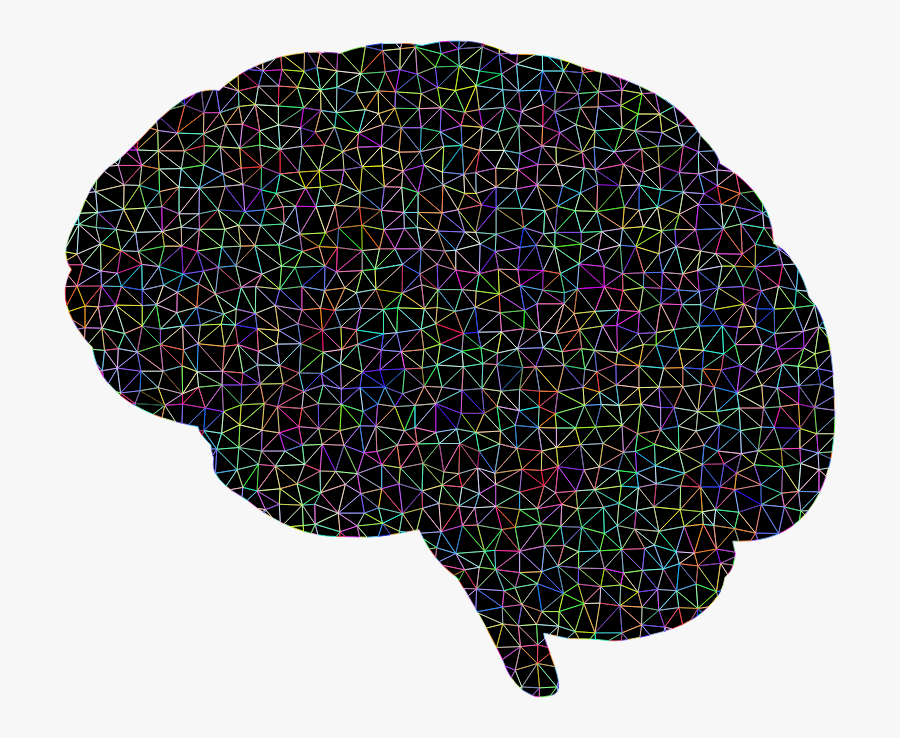 Human Brain, Transparent Clipart