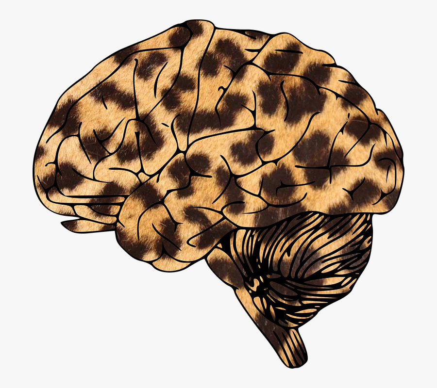 Brain, Leopard, Animal-print, Spotty, Spots - Leopard Print Tote Bag Uk, Transparent Clipart