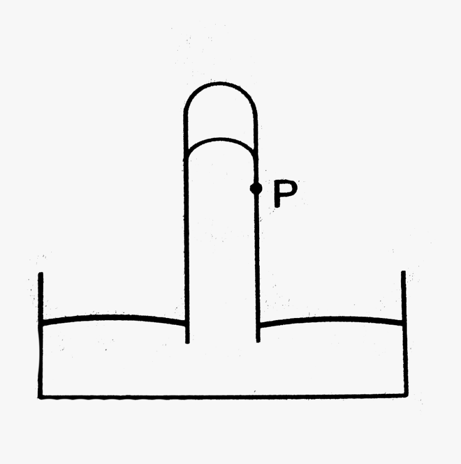 Line Art, Transparent Clipart