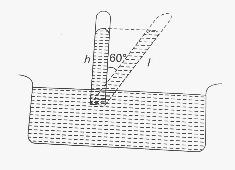 Line Art, Transparent Clipart