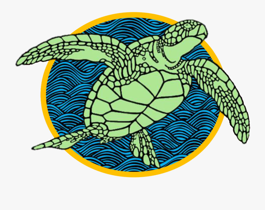 Loggerhead Sea Turtle, Transparent Clipart