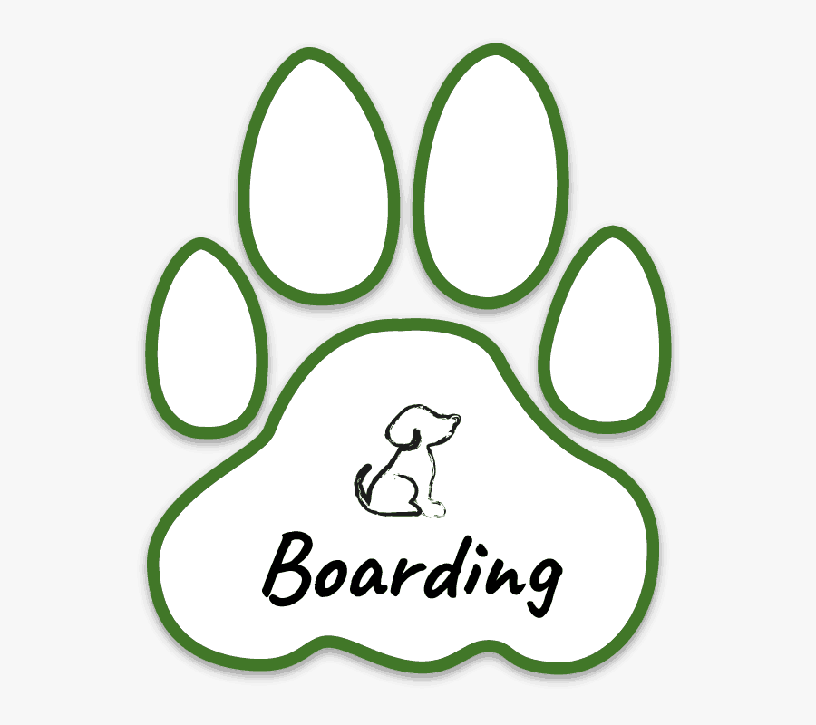 Circle, Transparent Clipart