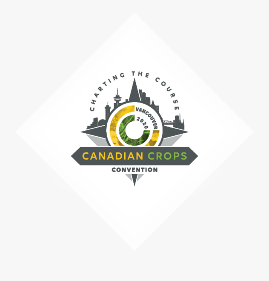 Graphic Design, Transparent Clipart