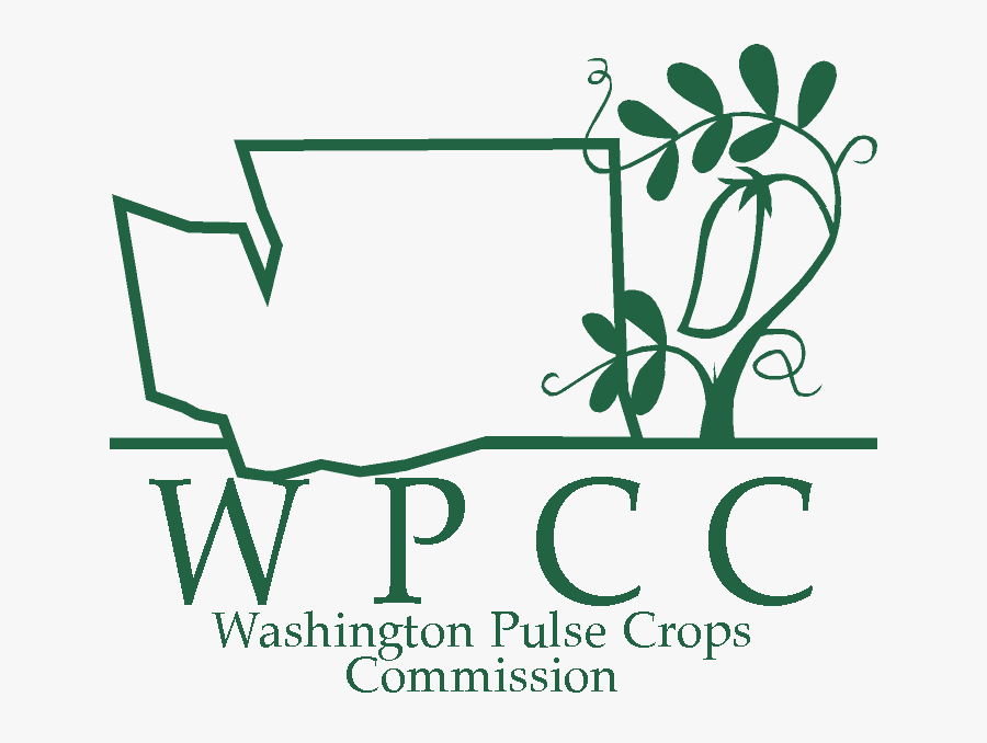 Contact-image, Transparent Clipart