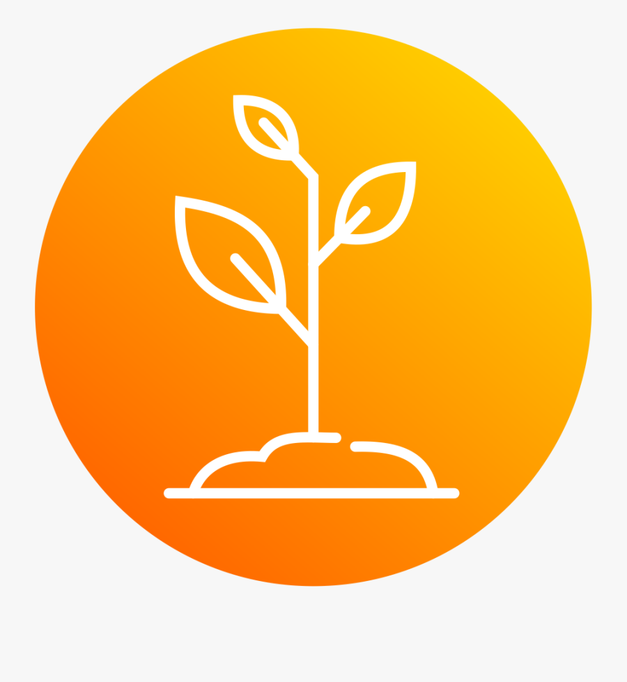 Philippine Root Crop Research And Training Center, Transparent Clipart