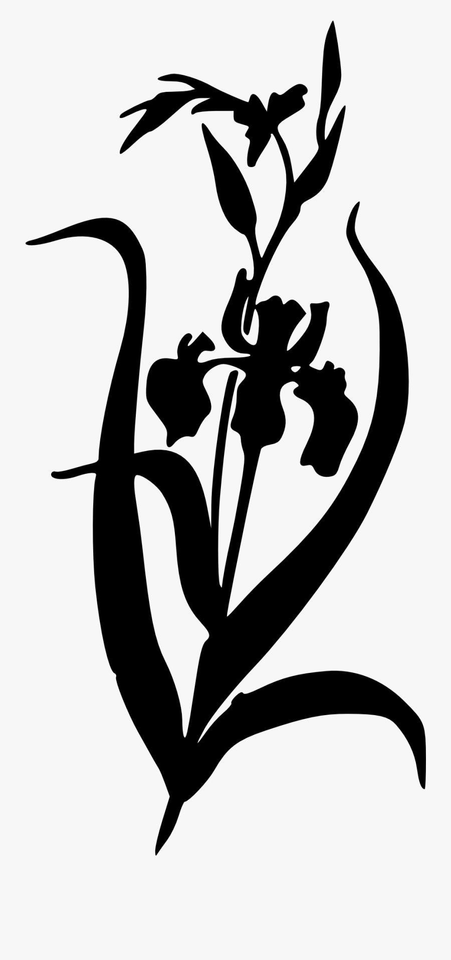 Iris Flower Iris Clipart Black And White, Transparent Clipart