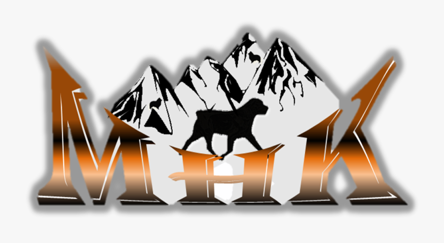 Silhouette, Transparent Clipart