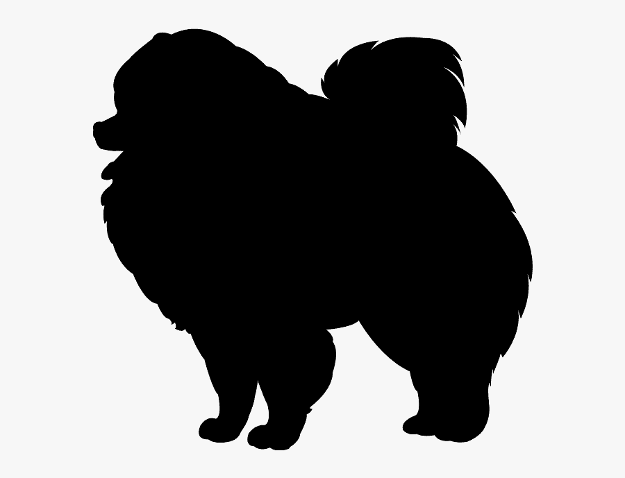 Desenho Lulu Da Pomerania, Transparent Clipart