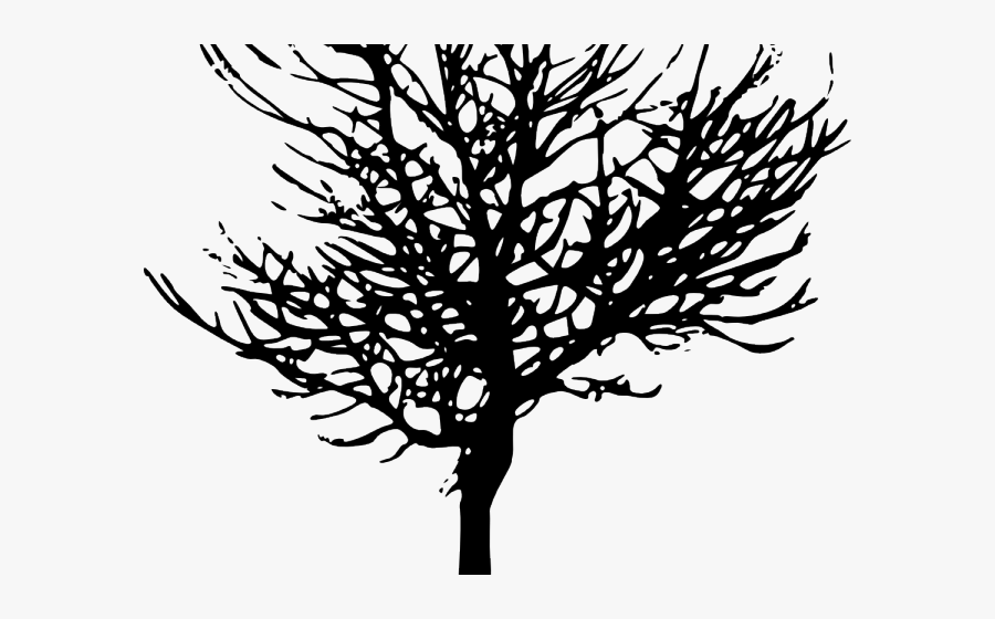 Portable Network Graphics, Transparent Clipart