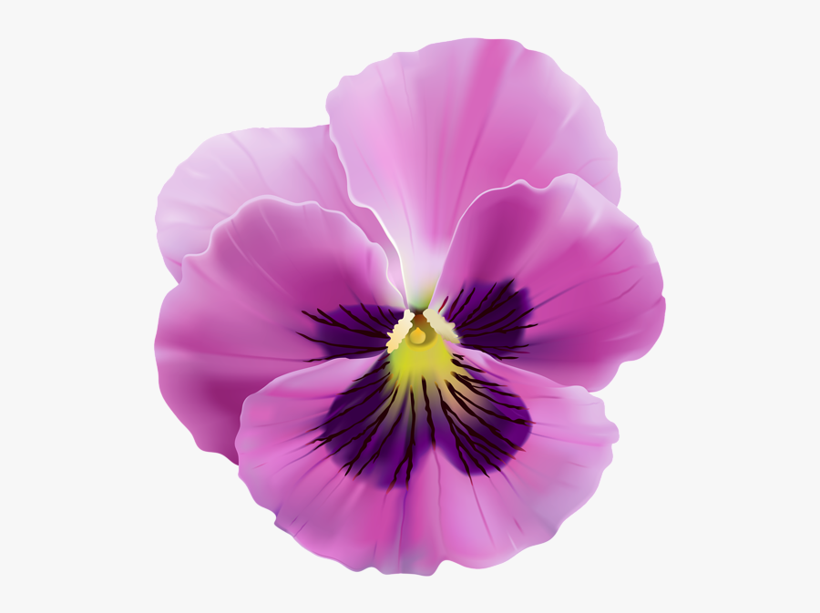 Pink And Violet Flowers Png, Transparent Clipart