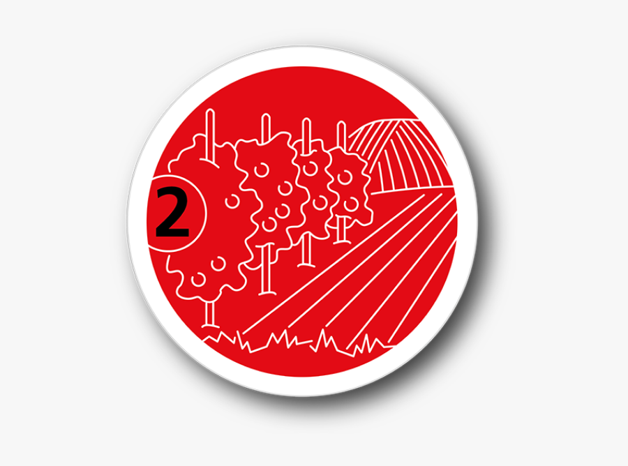 Circle, Transparent Clipart