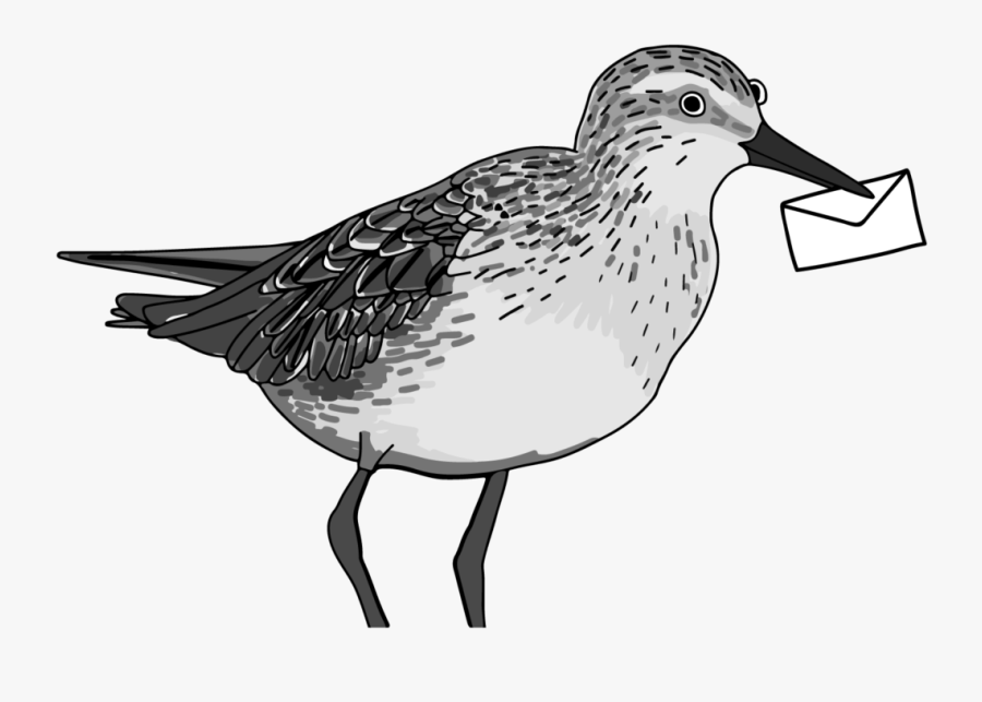 Subscribe - Sandpiper, Transparent Clipart