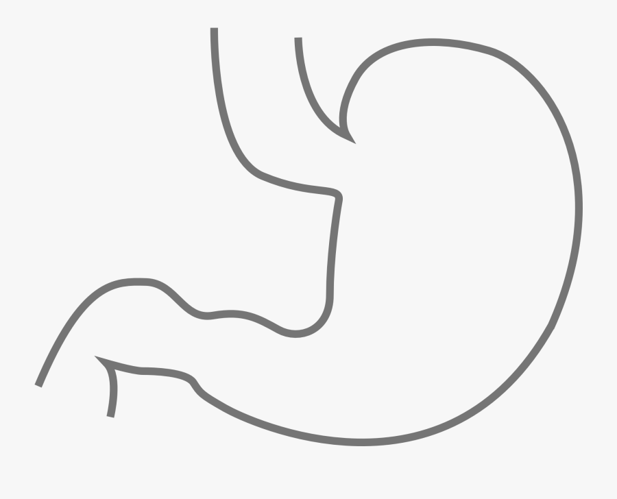 Stomach Black And White, Transparent Clipart