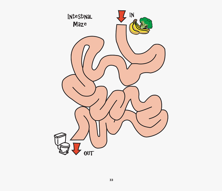 Board Game Layout Digestive System, Transparent Clipart