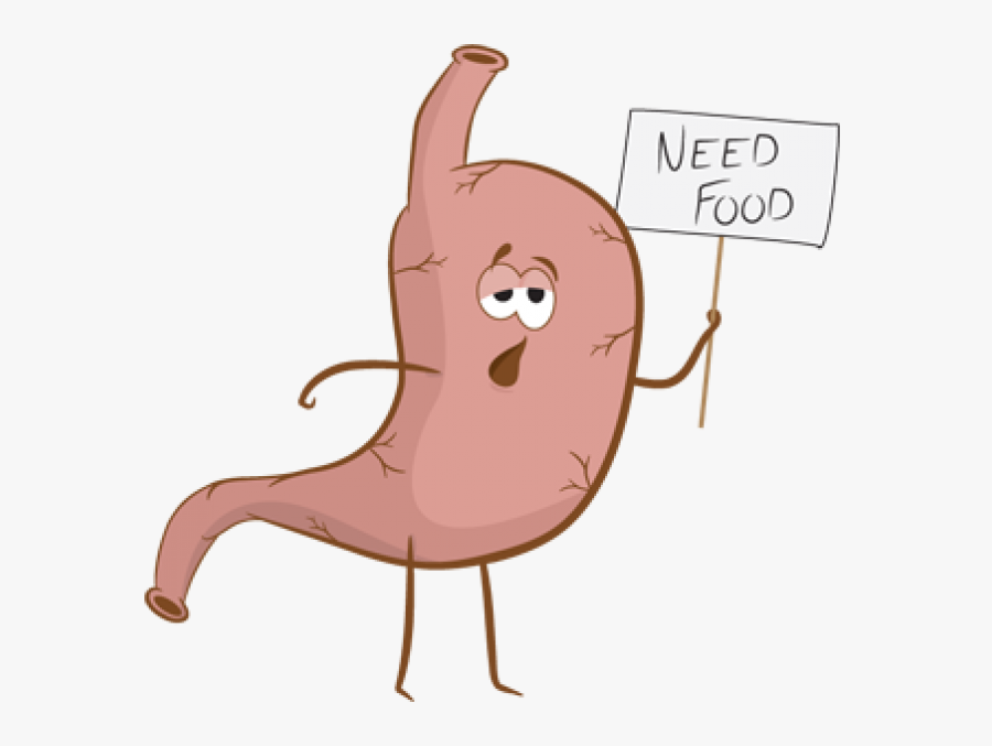 Growling Stomach, Transparent Clipart