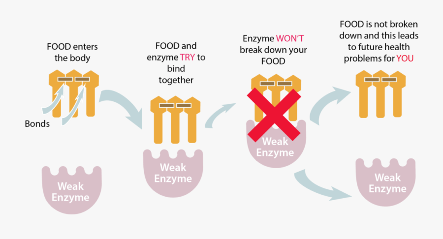 Graphic Design, Transparent Clipart