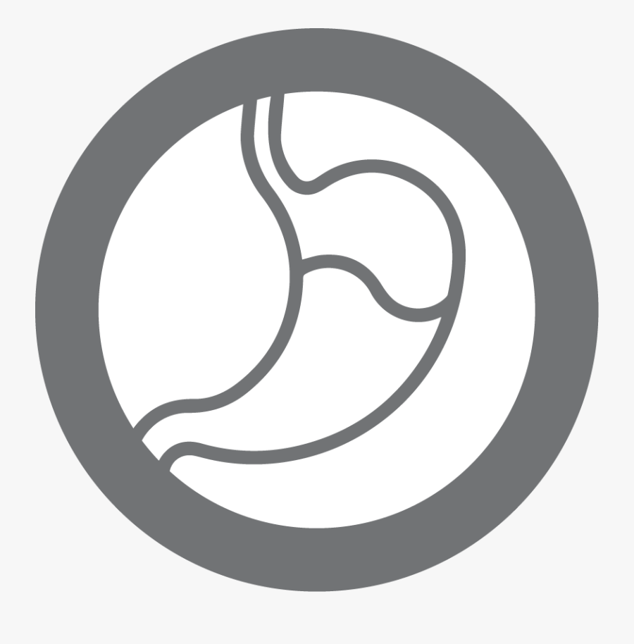 Circle, Transparent Clipart