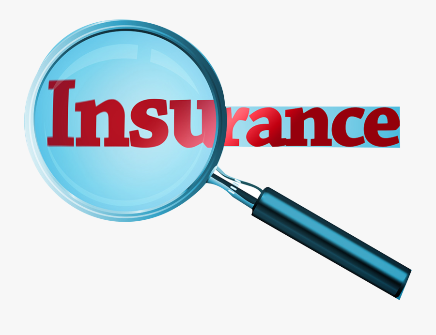 Circle, Transparent Clipart