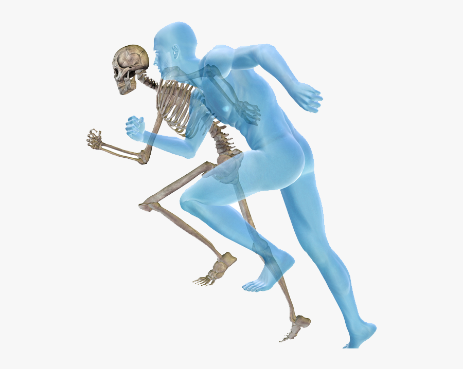 Transparent Physical Therapy Clip Art - Transparent Physiotherapy Png, Transparent Clipart
