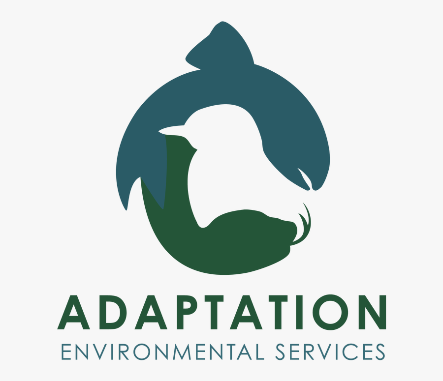 Clip Art Midget Faded Rattlesnake - Cetacea, Transparent Clipart