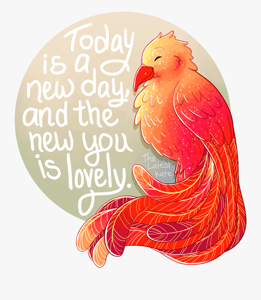 Cuadernos Fenix, Transparent Clipart