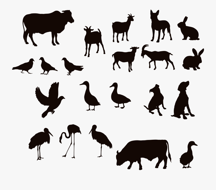 Cattle Water Buffalo Silhouette Duck - Silhouettes Animals Design, Transparent Clipart