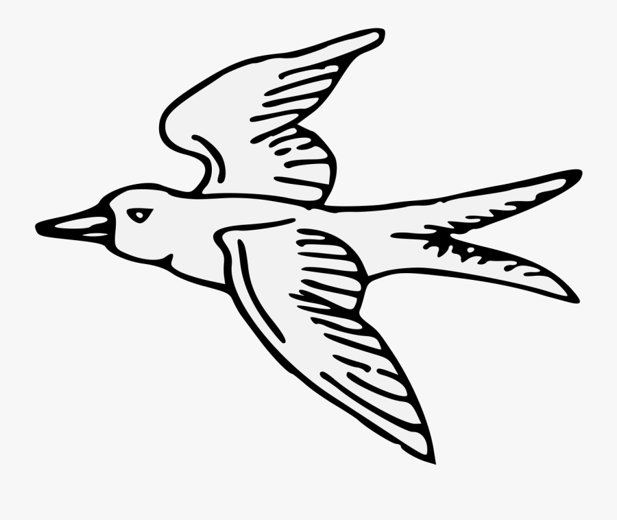 European Swallow, Transparent Clipart