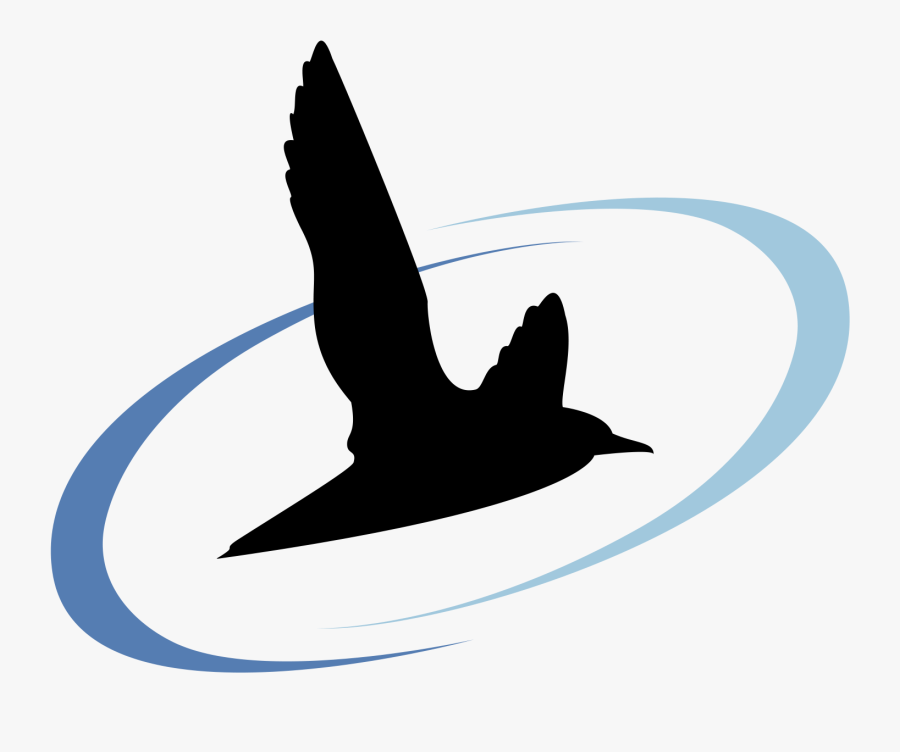 , Black Bawks Data Science Ltd - Vaux S Swift, Transparent Clipart