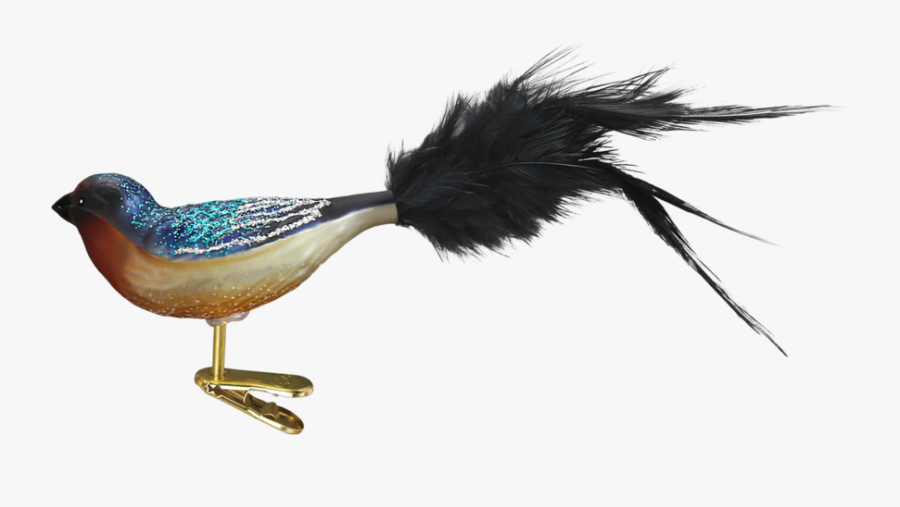 Old World Christmas Barn Swallow Glass Ornament, Owc-old - Phasianidae, Transparent Clipart