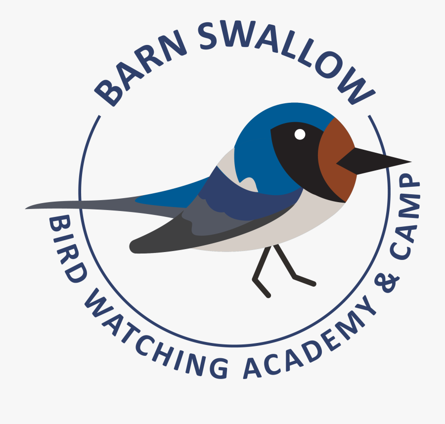 Centro Mexicano De Derecho Ambiental, Transparent Clipart