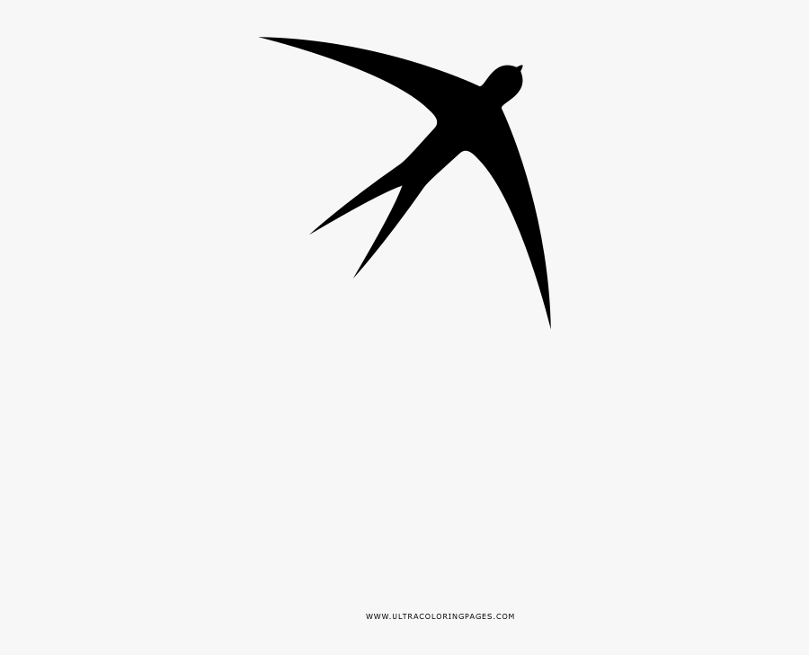 Swallow Coloring Page - European Swallow, Transparent Clipart