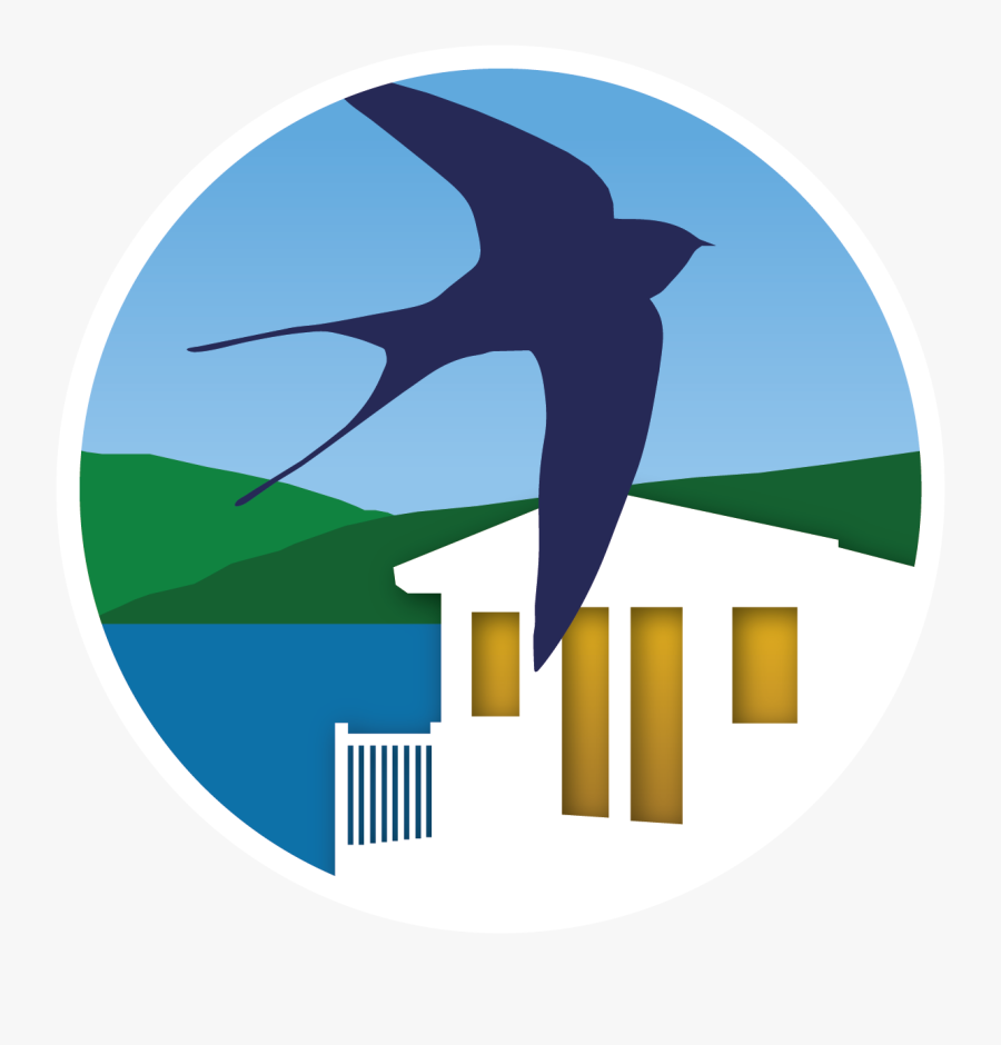 Graphic Design, Transparent Clipart