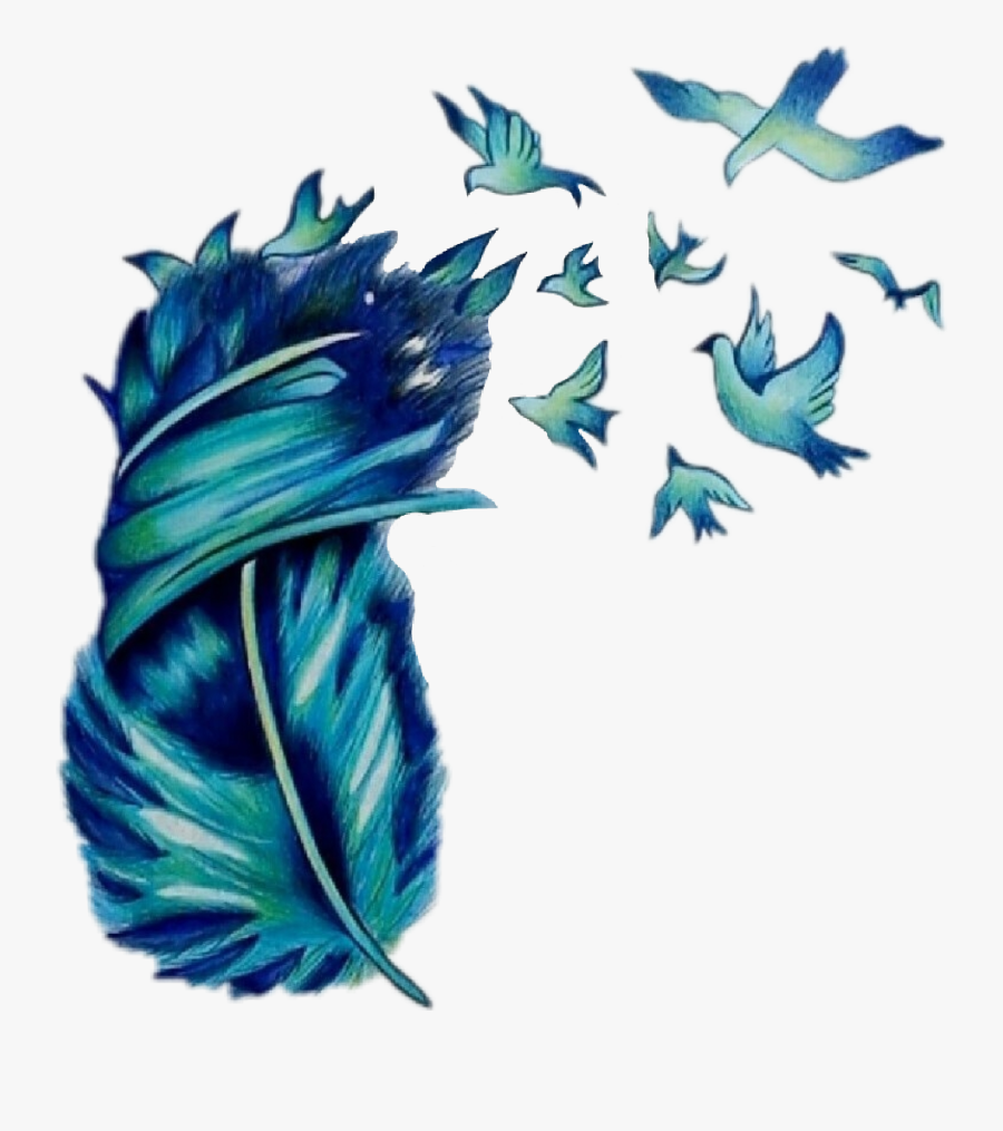 Transparent Feather Drawing Png - Birds And Feathers Art, Transparent Clipart