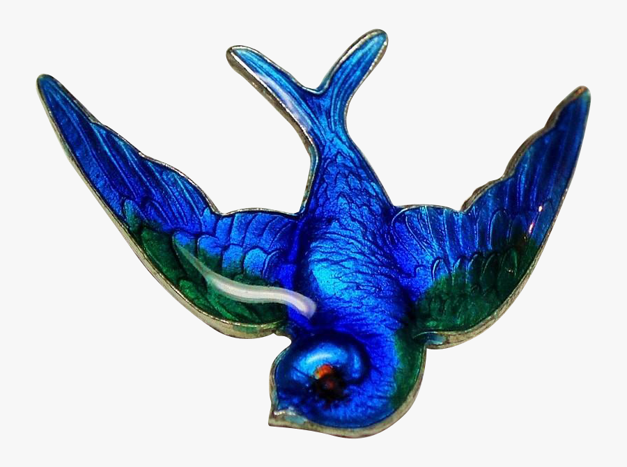 European Swallow, Transparent Clipart