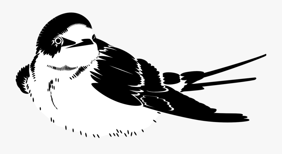 ภาพ กราฟฟิก ขาว ดำ, Transparent Clipart