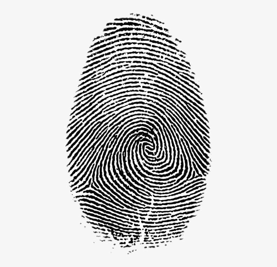 Transparent Fingerprints Clipart - Fingerprints Png, Transparent Clipart