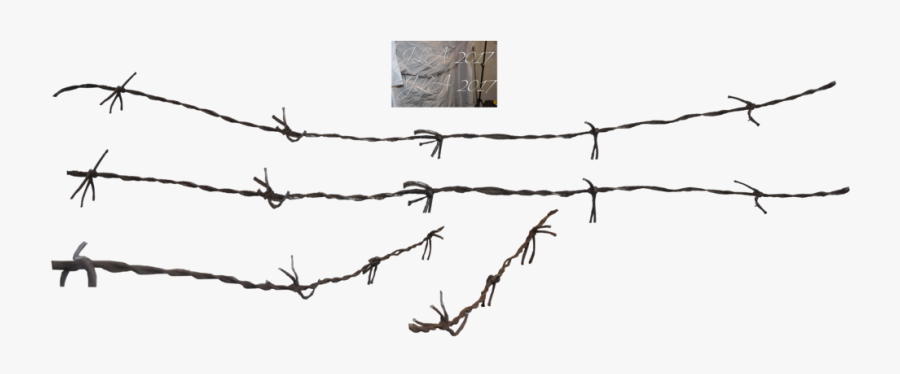 Barbed Wire Fence Chain-link Fencing - Barbed Wire Wire Png, Transparent Clipart