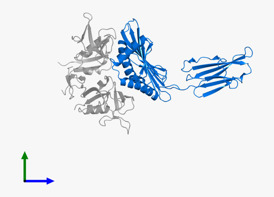 Graphic Design, Transparent Clipart