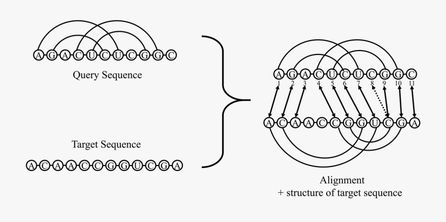 Diagram, Transparent Clipart