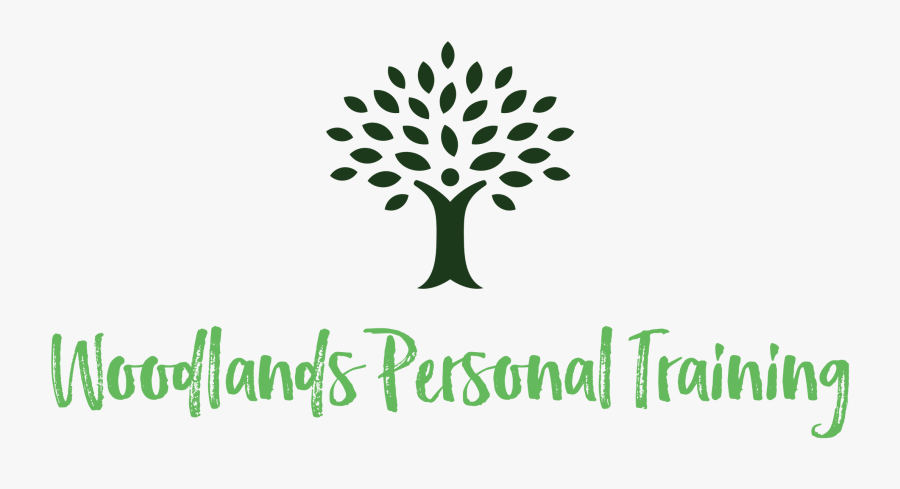 Logo Transparent Background - Illustration, Transparent Clipart