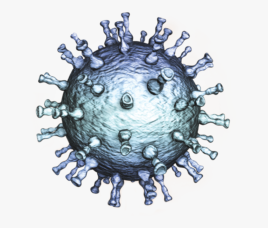 Varicella Zoster Virus, Transparent Clipart