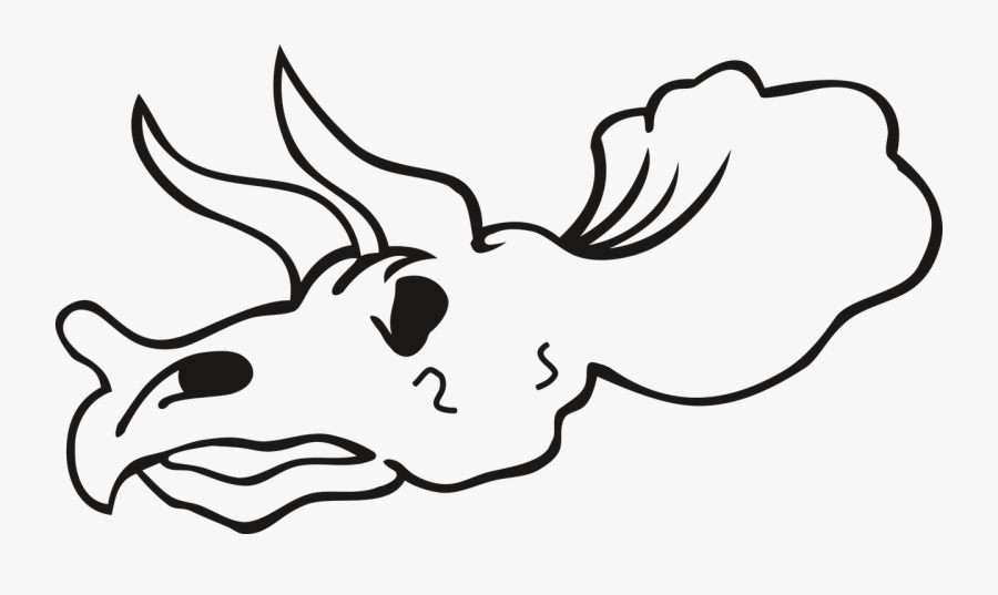 Skull Skeleton Bone Free Picture - Esqueletos De Dinosaurios Para Dibujar, Transparent Clipart