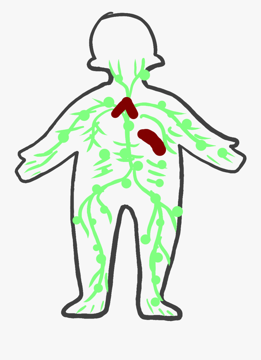 Illustration, Transparent Clipart