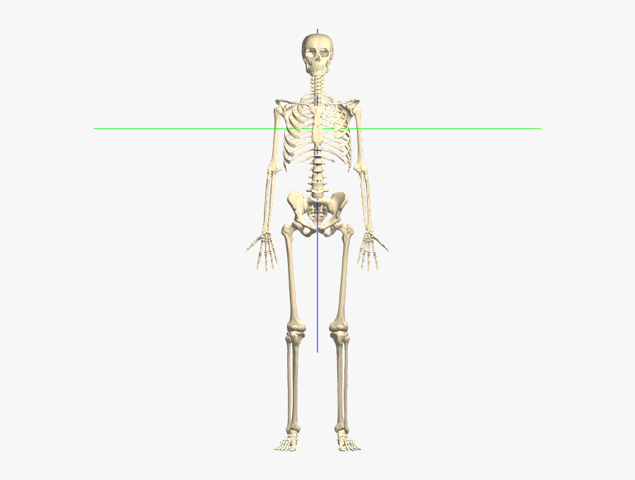 Kineman Help Pro Operation Background - Skeleton, Transparent Clipart