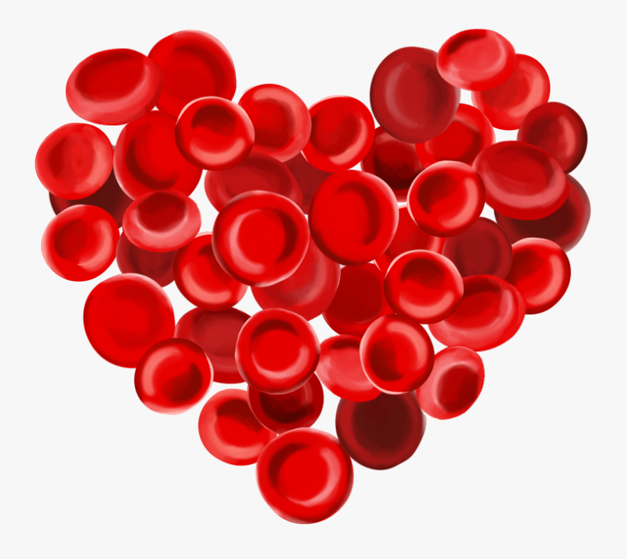 Circle, Transparent Clipart