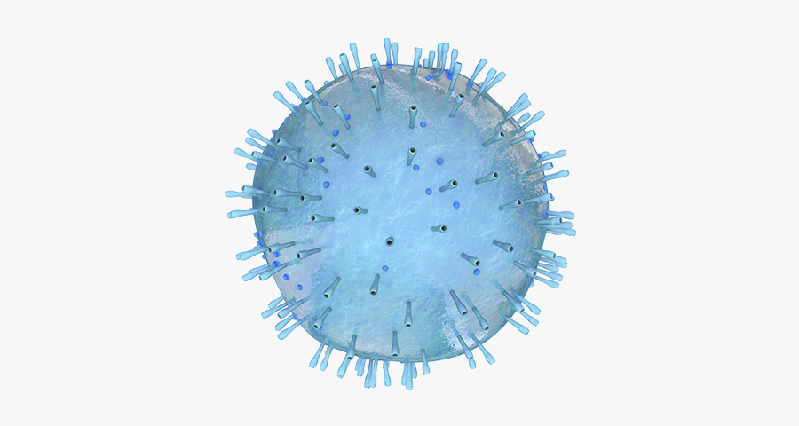 Diasorin Molecular Simplexa® Flu A/b & Rsv Direct Kit - Influenza, Transparent Clipart