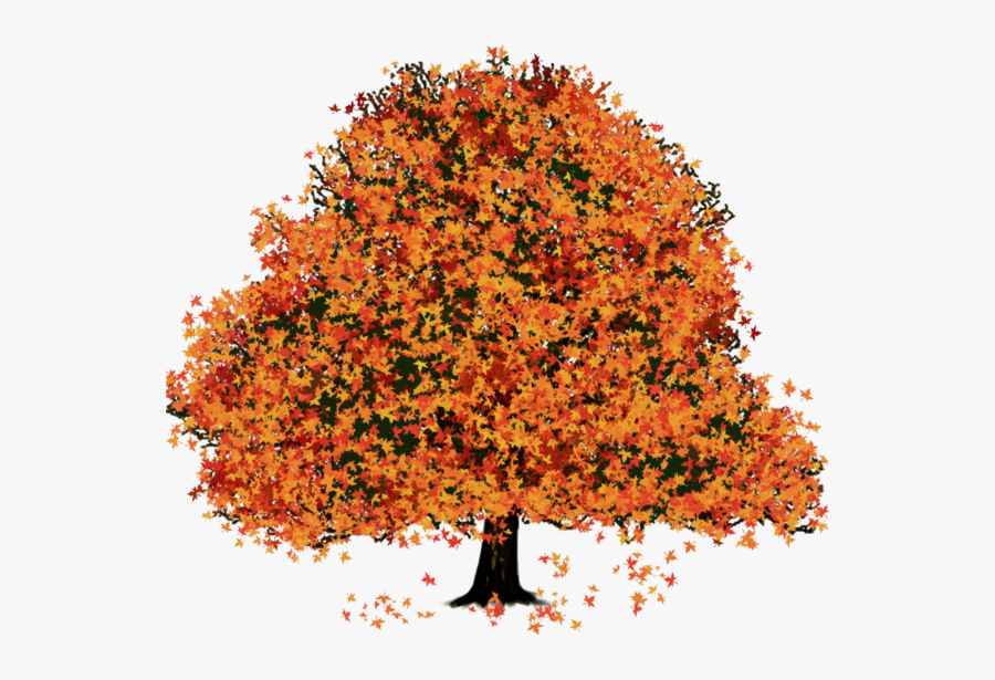 Tree, Transparent Clipart