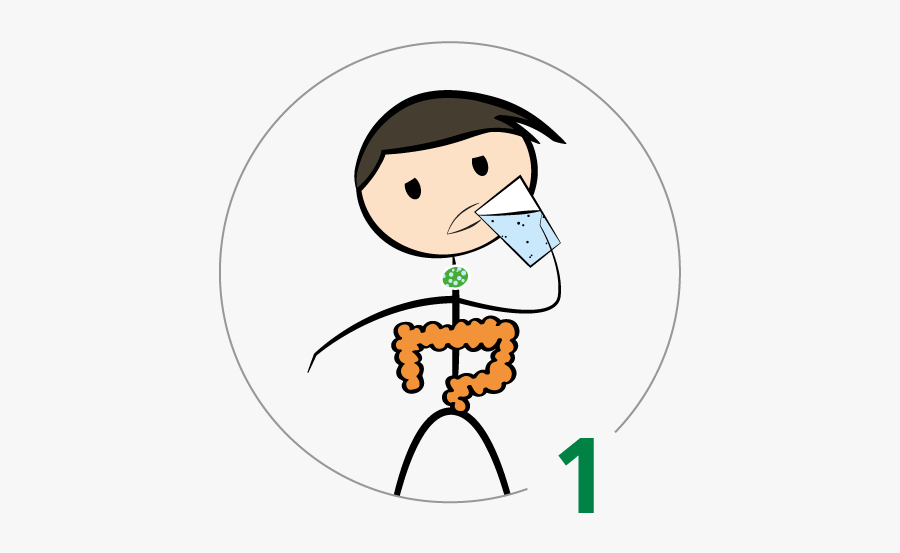 Cartoon, Transparent Clipart